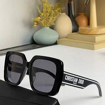 Dior sunglasses 2024121801