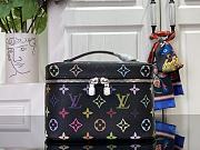 Louis Vuitton x Takashi Murakami Nice Mini Black Multicolored  20x14x13cm - 1