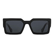 LV sunglasses 2025021501 - 4