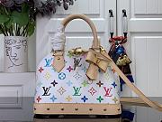 LV x TM Alma BB Other Monogram Canvas 23.5x17.5x11.5cm - 1