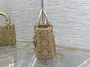 Dior mini lady 17CM 2025032001 - 6