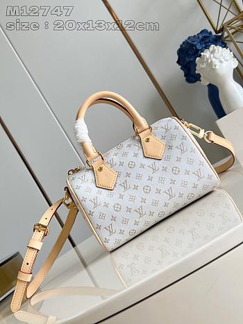 LV Speedy Bandouliere 20 Monogram M12347
