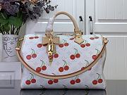 LV Louis Vuitton x Takashi Murakami Cherry White speedy 30CM  - 1