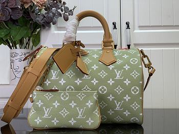 LV Speedy P9 Bandoulière 30 2025062701