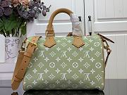 LV Speedy P9 Bandoulière 30 2025062701 - 6