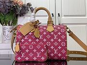LV Speedy P9 Bandoulière 30 2025062702 - 1