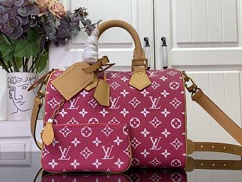LV Speedy P9 Bandoulière 30 2025062702