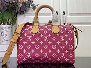 LV Speedy P9 Bandoulière 30 2025062702 - 4