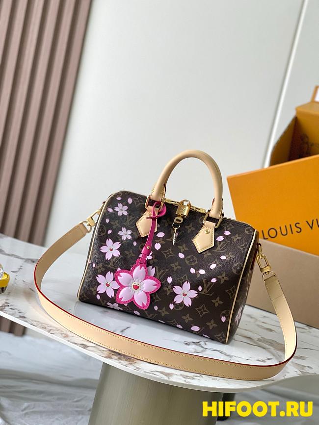 LV Louis Vuitton x Takashi Murakami speedy 25  - 1