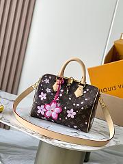 LV Louis Vuitton x Takashi Murakami speedy 25  - 1