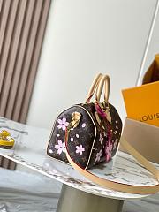 LV Louis Vuitton x Takashi Murakami speedy 25  - 6