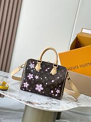 LV Louis Vuitton x Takashi Murakami speedy 25  - 4