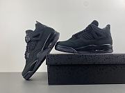 Air Jordan 4 Retro Black Cat (2025)  FV5029-010 - 2