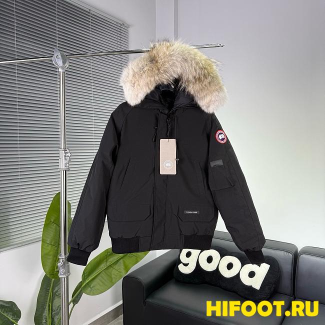 Canada goose 2025111702 - 1