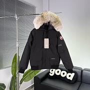 Canada goose 2025111702 - 1