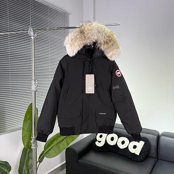 Canada goose 2025111702