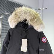 Canada goose 2025111702 - 4