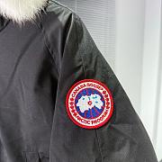Canada goose 2025111702 - 2