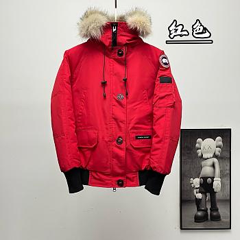 Canada goose down jacket 2025120102