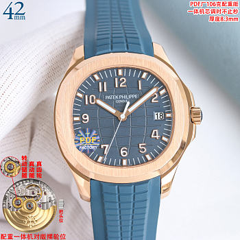 Patek Philippe watch 2026011306