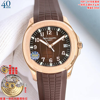 Patek Philippe watch 2026011307