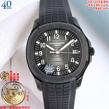 Patek Philippe watch 2026011308