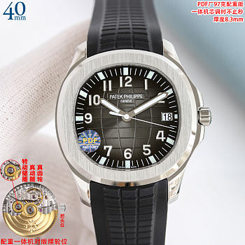 Patek Philippe watch 2026011309