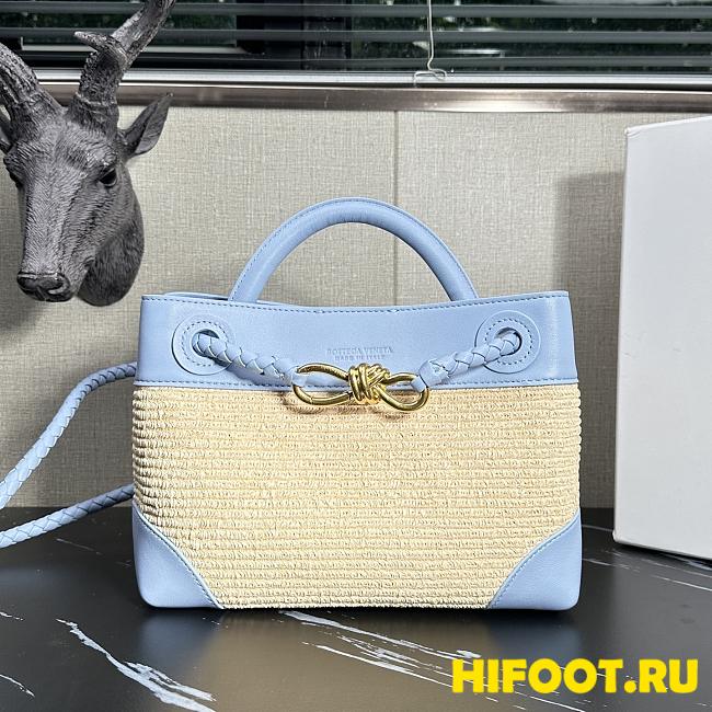 Bottega Veneta BV Small Andiamo 20x25x10cm - 1