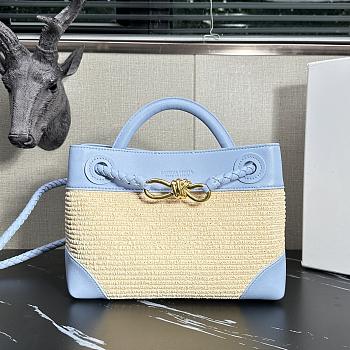 Bottega Veneta BV Small Andiamo 20x25x10cm