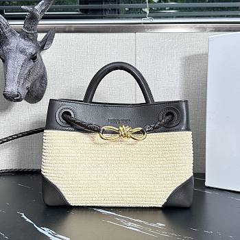 Bottega Veneta BV Small Andiamo 20x25x10cm 2026021003