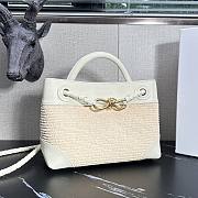 Bottega Veneta BV Small Andiamo 20x25x10cm 2026021004 - 2