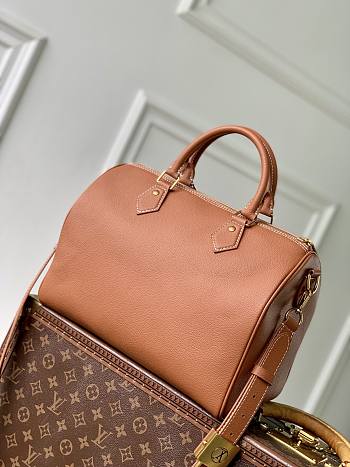 LV Speedy Soft 30 2026030401