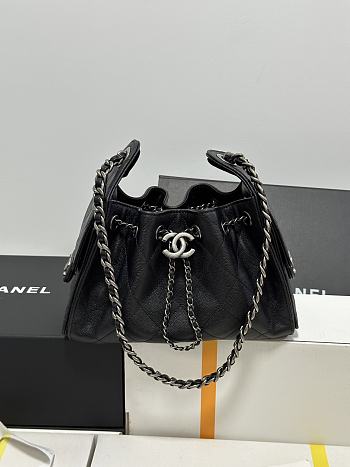 Chanel 25 bag mini  22cm 2025030501