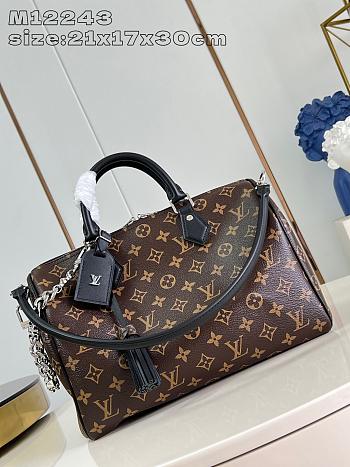 LV Speedy Soft 30 Dark M12243 30*21*17CM 2026031401