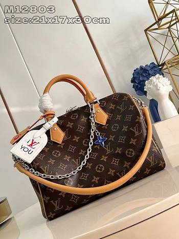 LV Speedy Soft 30 30*21*17CM  2026031402 