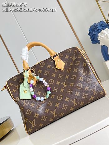 LV Speedy Soft 30 30*21*17CM 2026031404