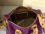 LV Speedy P9 Bandoulière 25 25*15*15CM 2026031601 - 6