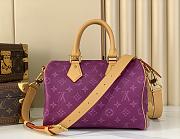 LV Speedy P9 Bandoulière 25 25*15*15CM 2026031601 - 5