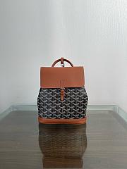 Goyard Alpin Mini Backpack 19*9.5*23CM  - 1