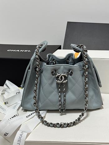 Chanel 25 bag mini 22cm 2026100601