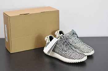 Yeezy Boost 350 Turtle Dove  AQ4832