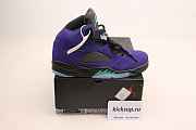 Air Jordan 5 Alternate Grape 136027-500 - 6