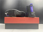 Jordan 12 Retro Black Dark Concord CT8013-005 - 2