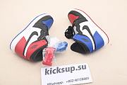 Nike Air Jordan 1 Retro Top 3 (GS) 575441-026 - 6