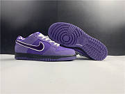 Nike SB Dunk Low Concepts Purple Lobster BV1310-555 - 5